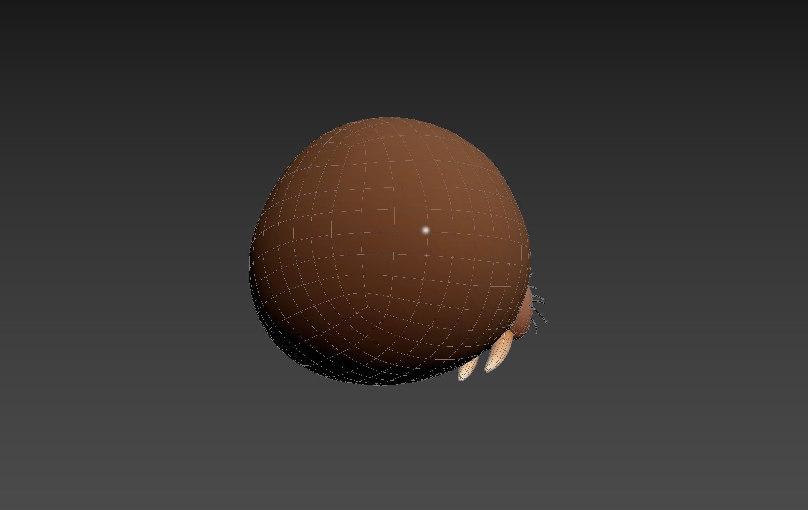 Prop239 Walrus Head 3D model_19