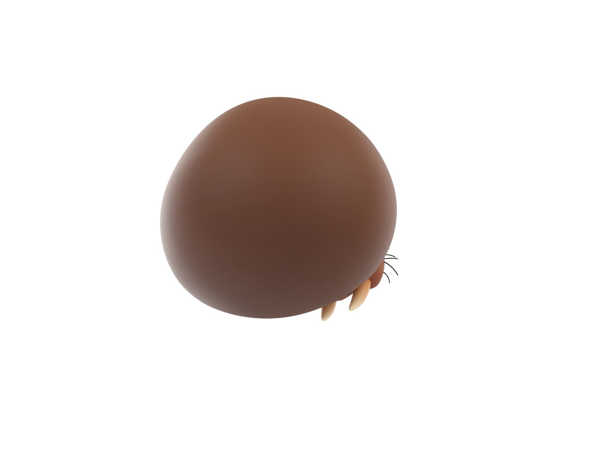 Prop239 Walrus Head 3D model_4