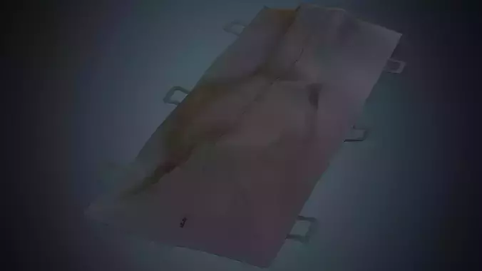 Body Bag 1 Basic Low-poly 3D model