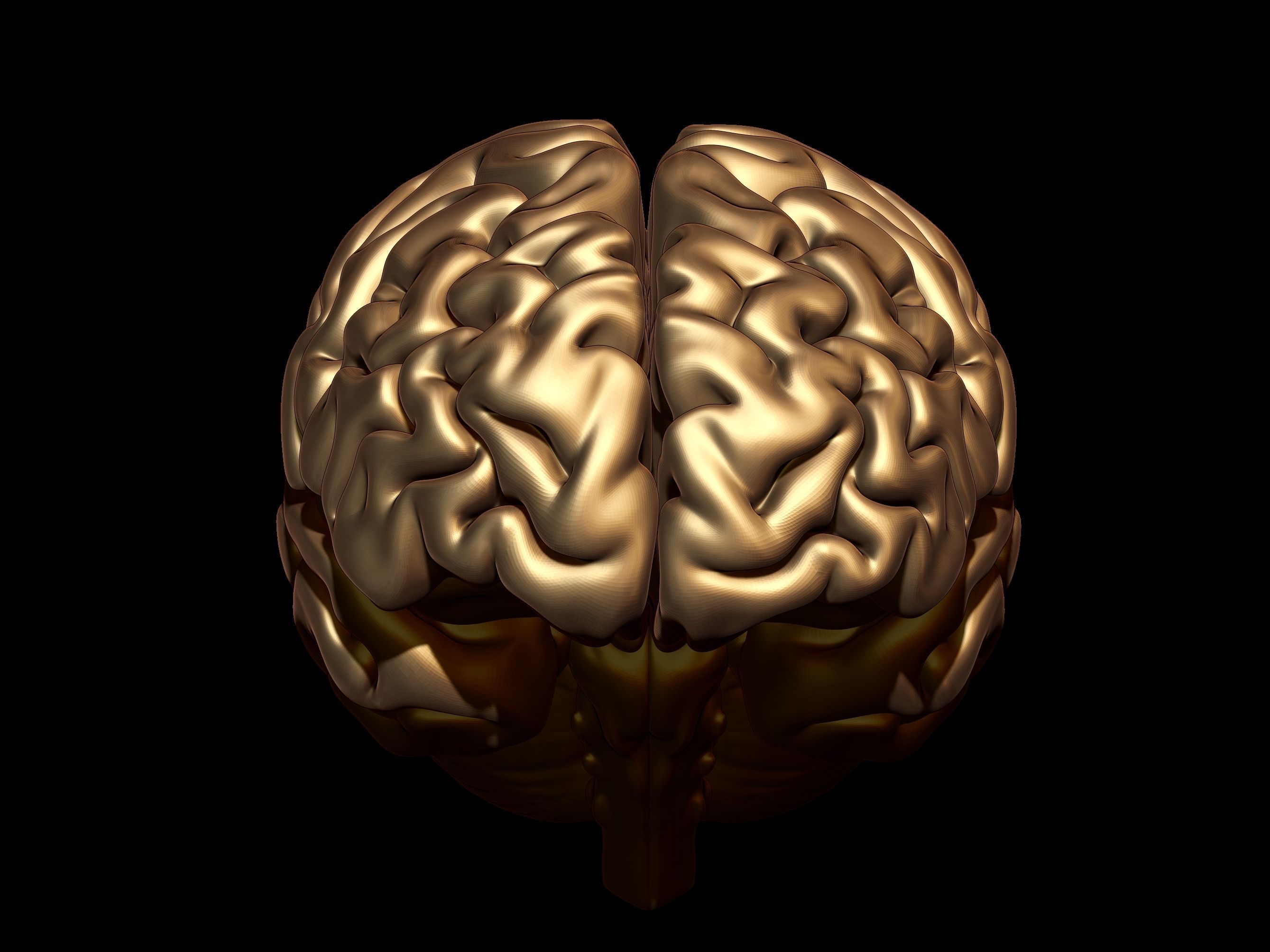 Brain 3D model 3D model 3D printable | CGTrader
