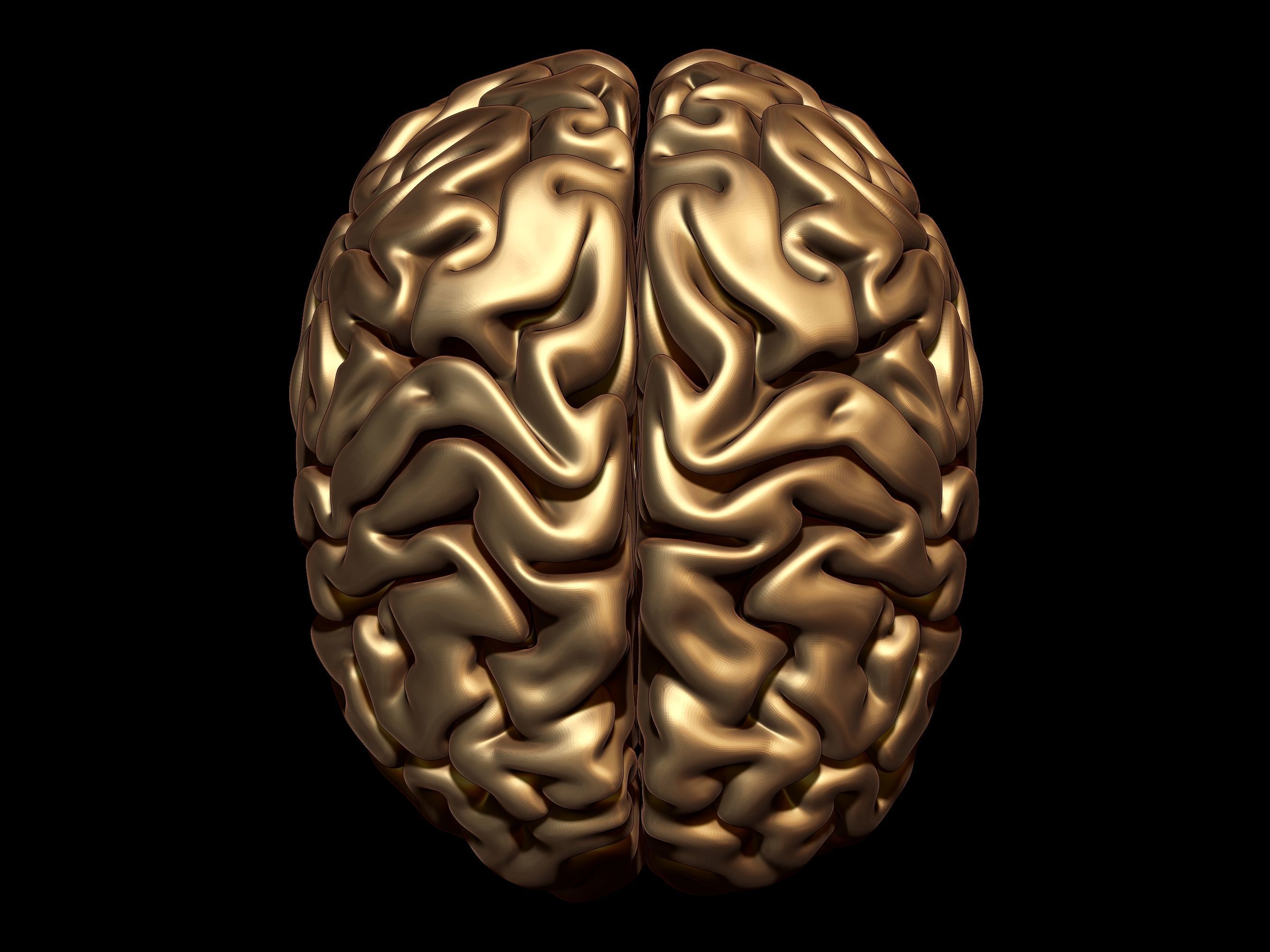 Brain 3D model 3D model 3D printable | CGTrader