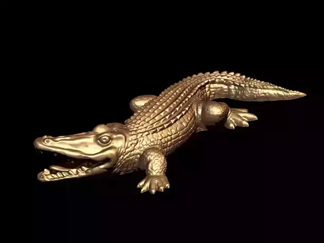 Crocodile 3D model