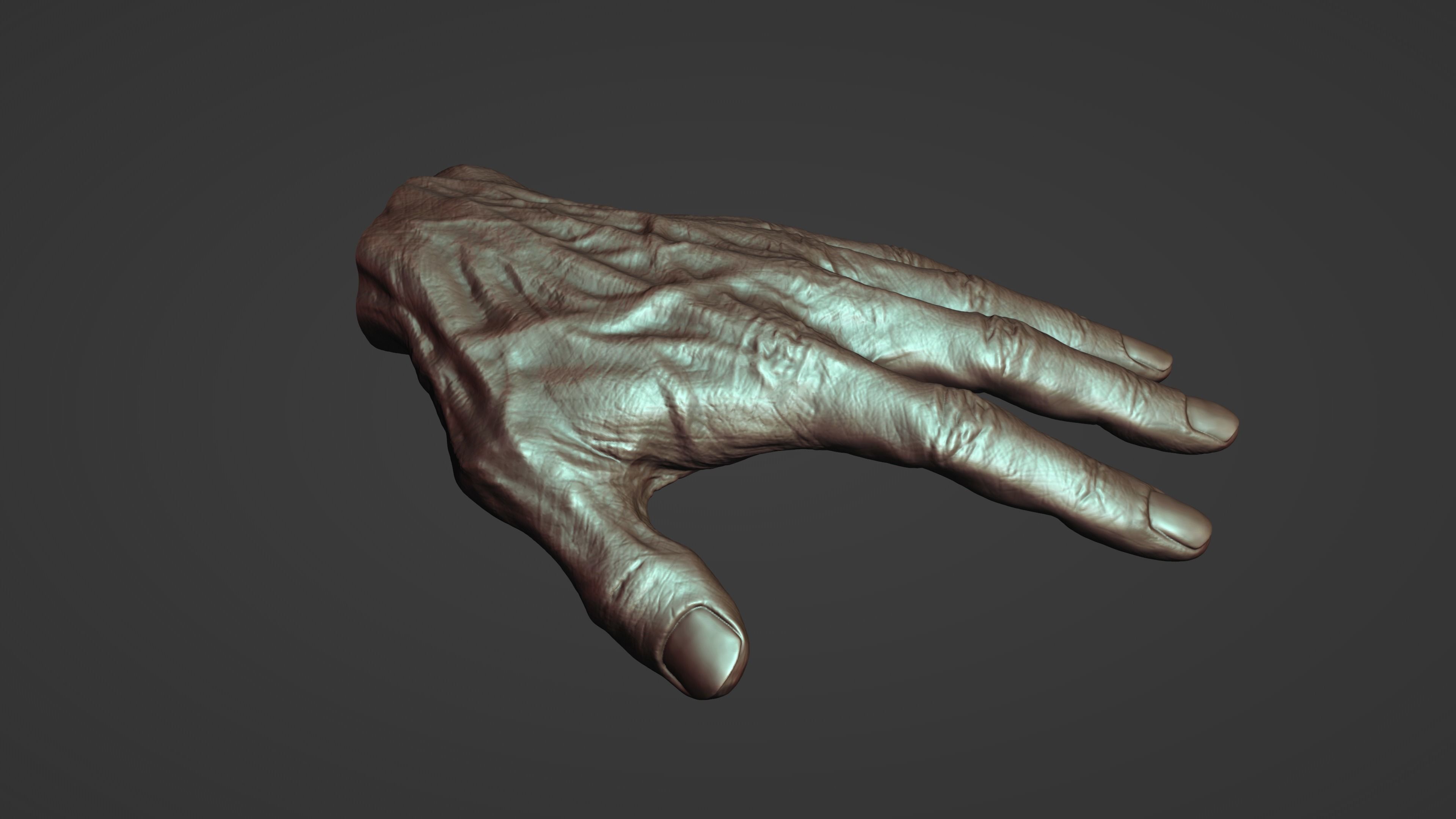 Hand Sculpture 3D model_2