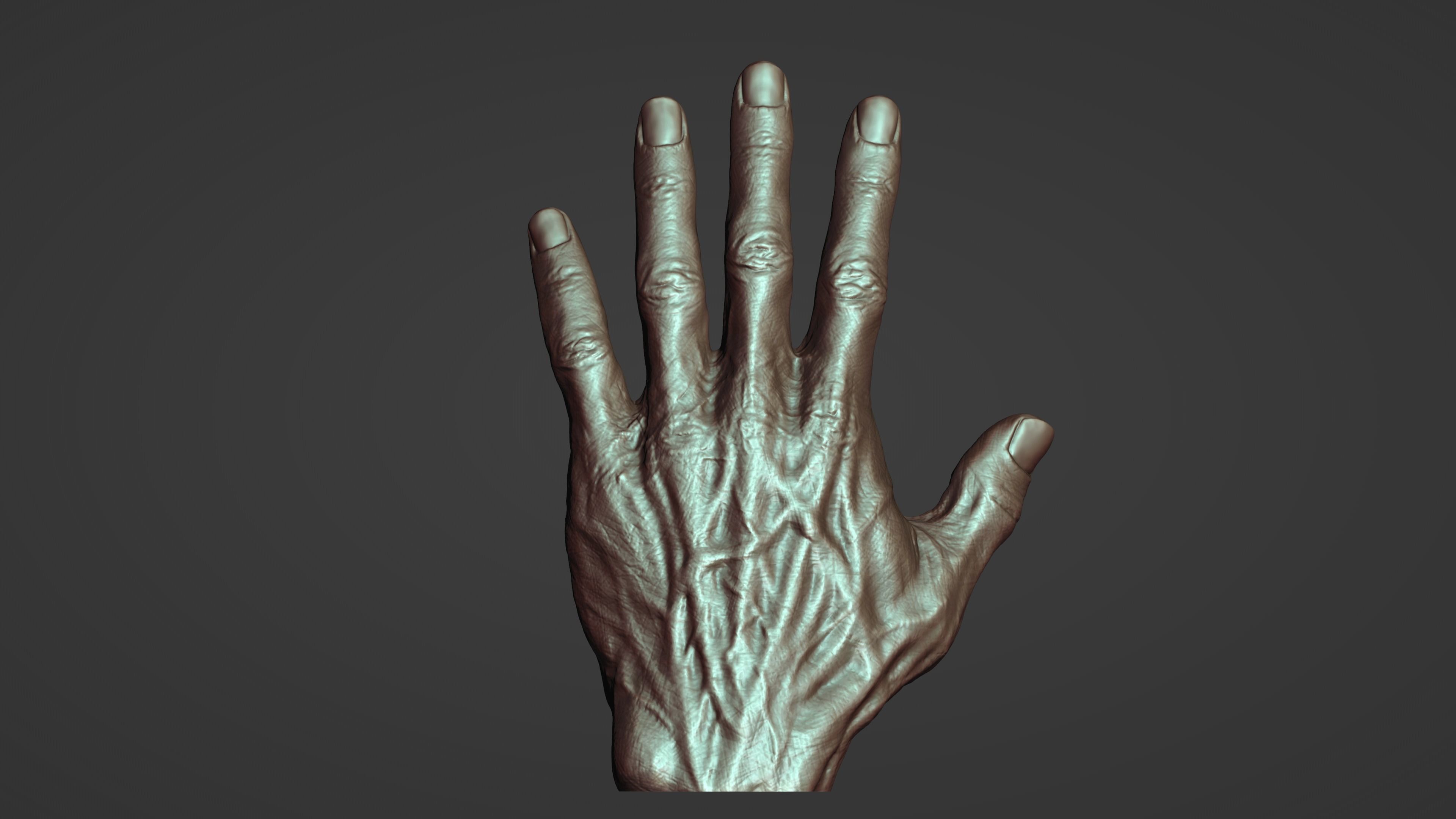 Hand Sculpture 3D model_1