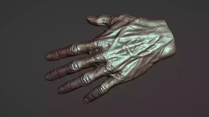 Hand Sculpture 3D model
