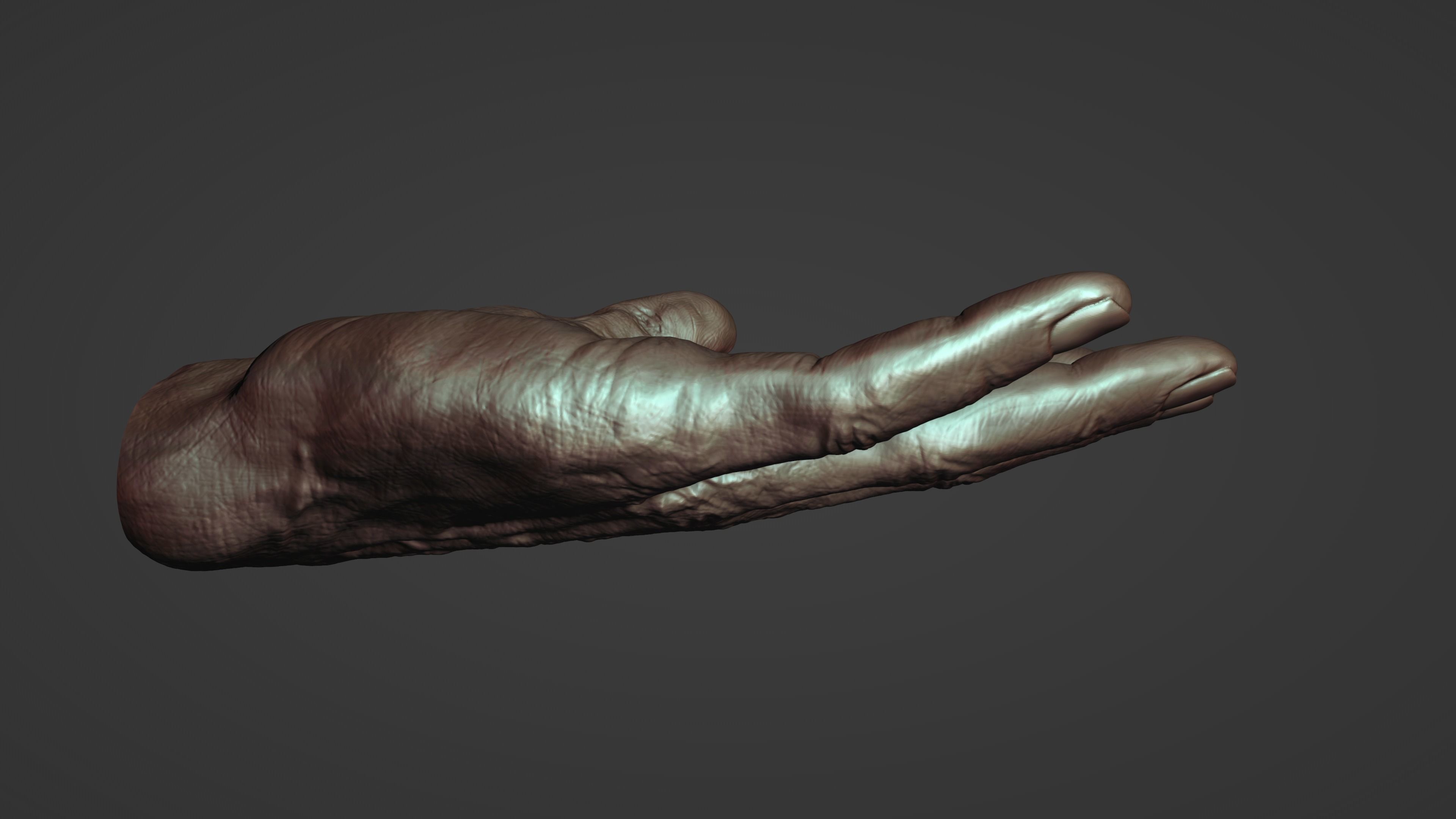 Hand Sculpture 3D model_5