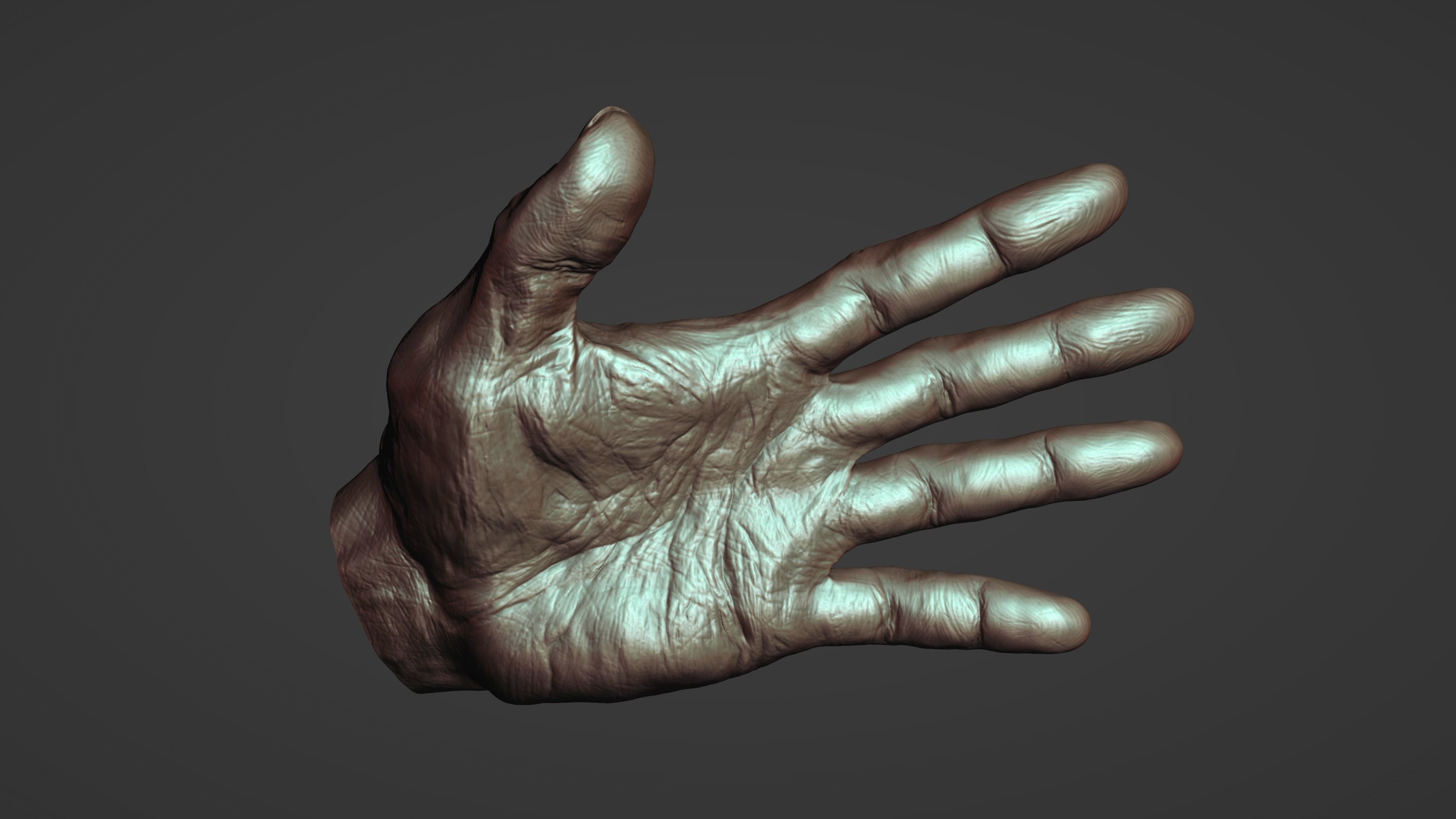 Hand Sculpture 3D model_3