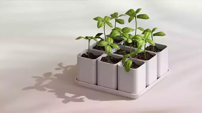 Design photography studio scene