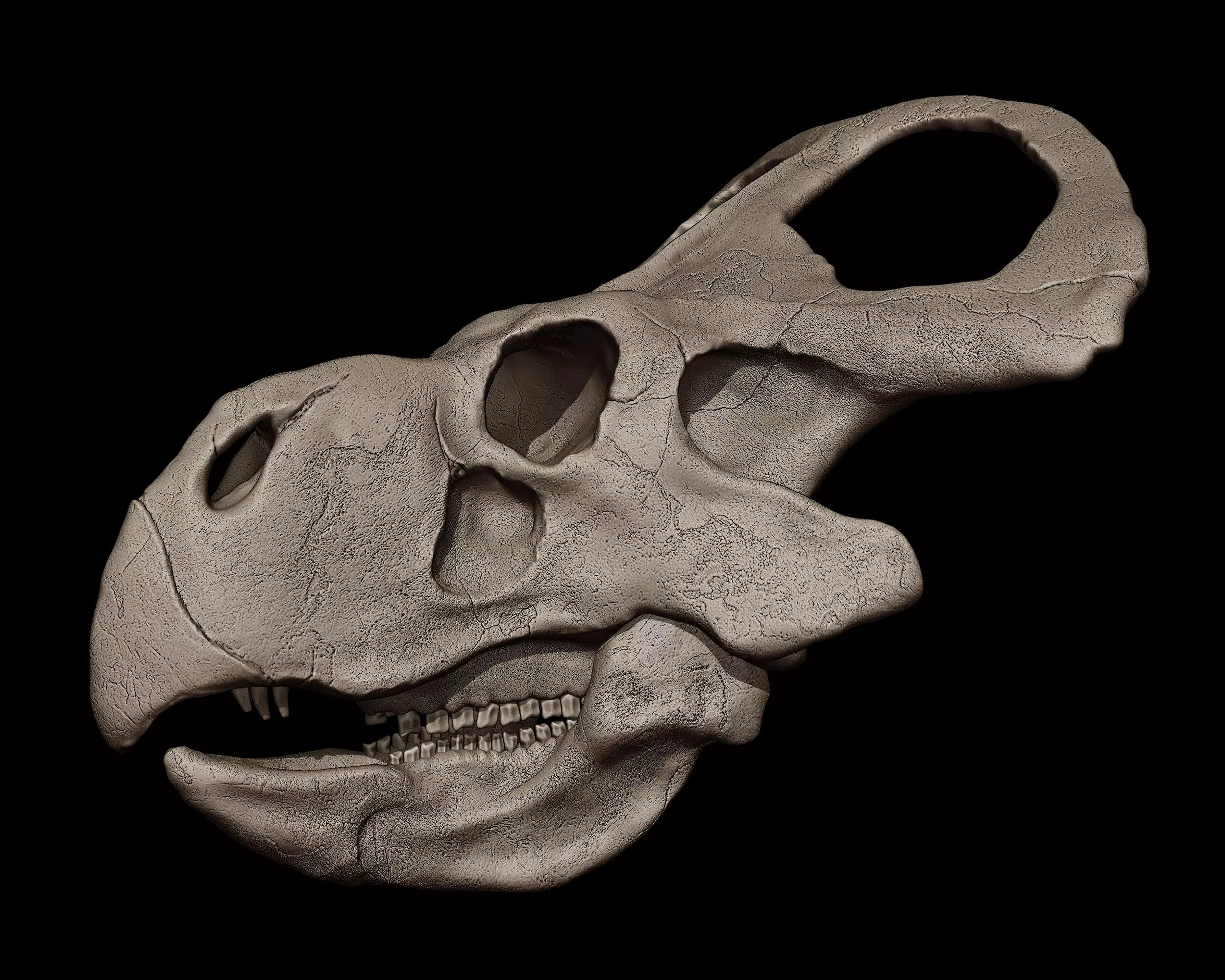 Protoceratops Skull 3D print model