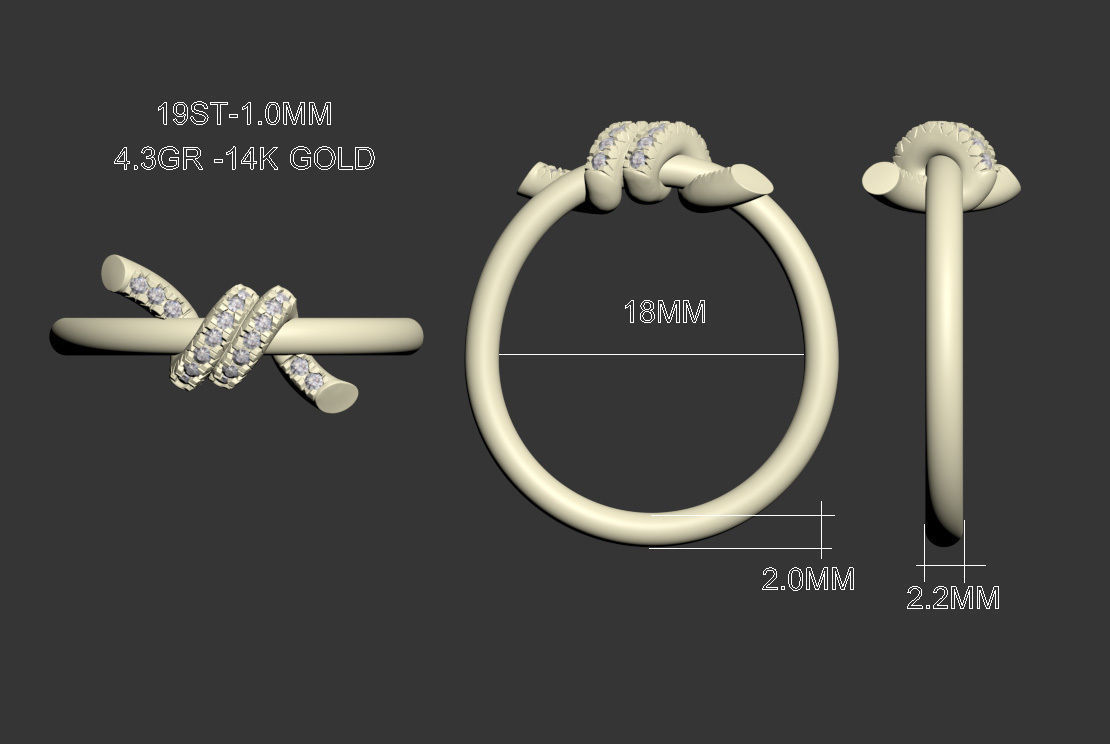 ring knot 3D print model_22