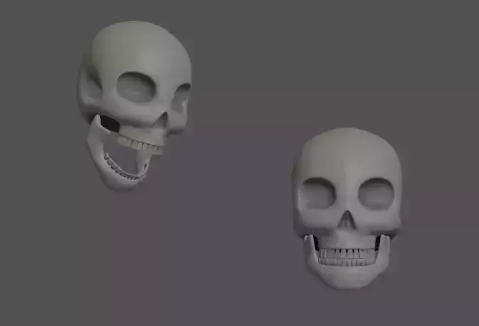 Skull 3D model