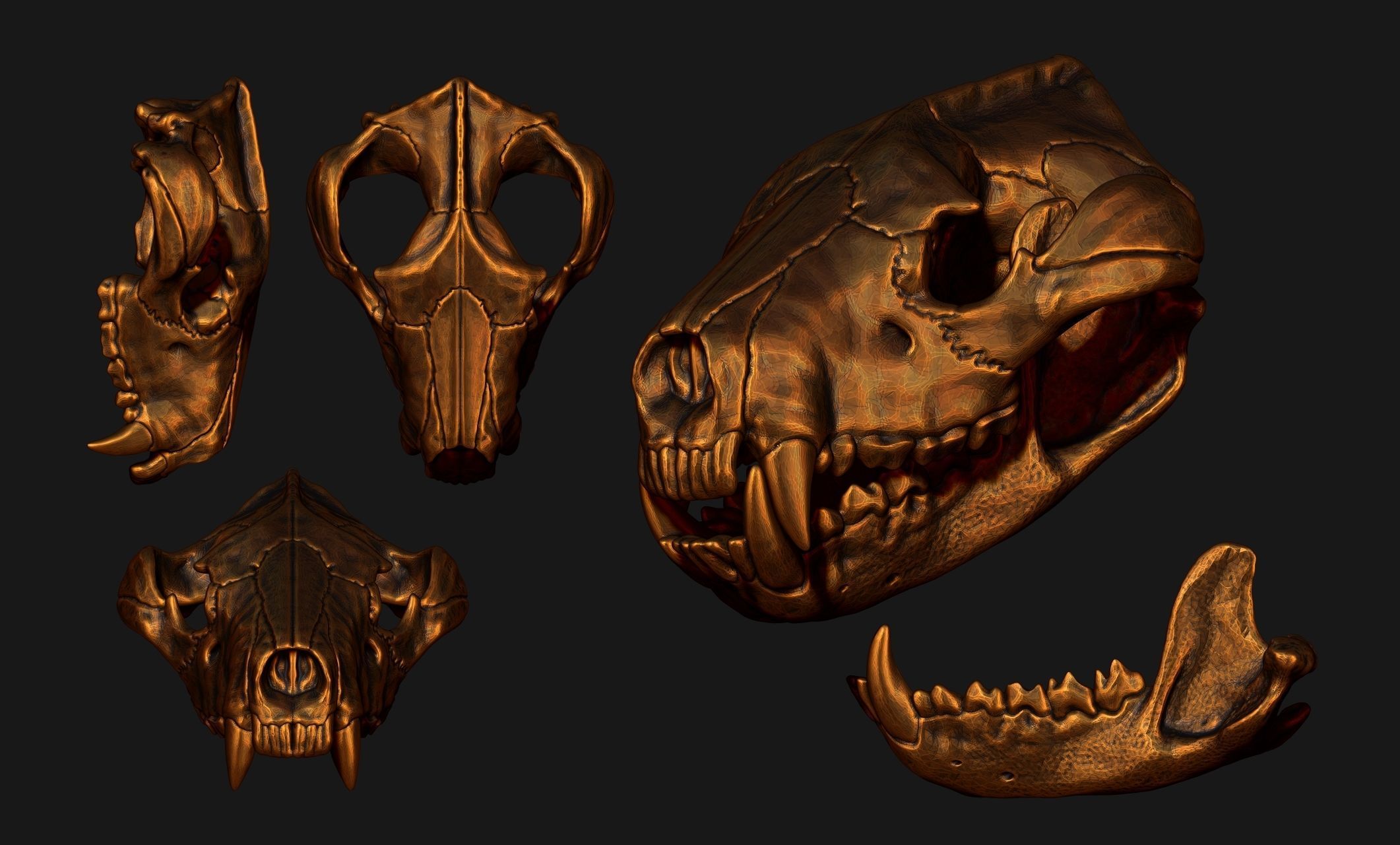 Tasmanian Devil - Skull - Jawbone 3D print model_6