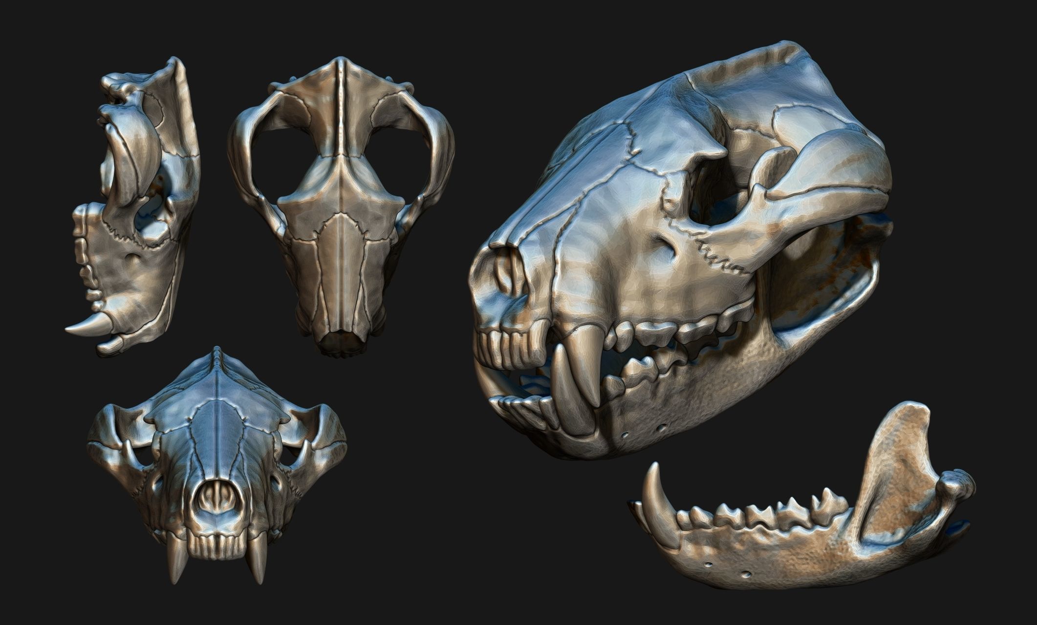 Tasmanian Devil - Skull - Jawbone 3D print model_5