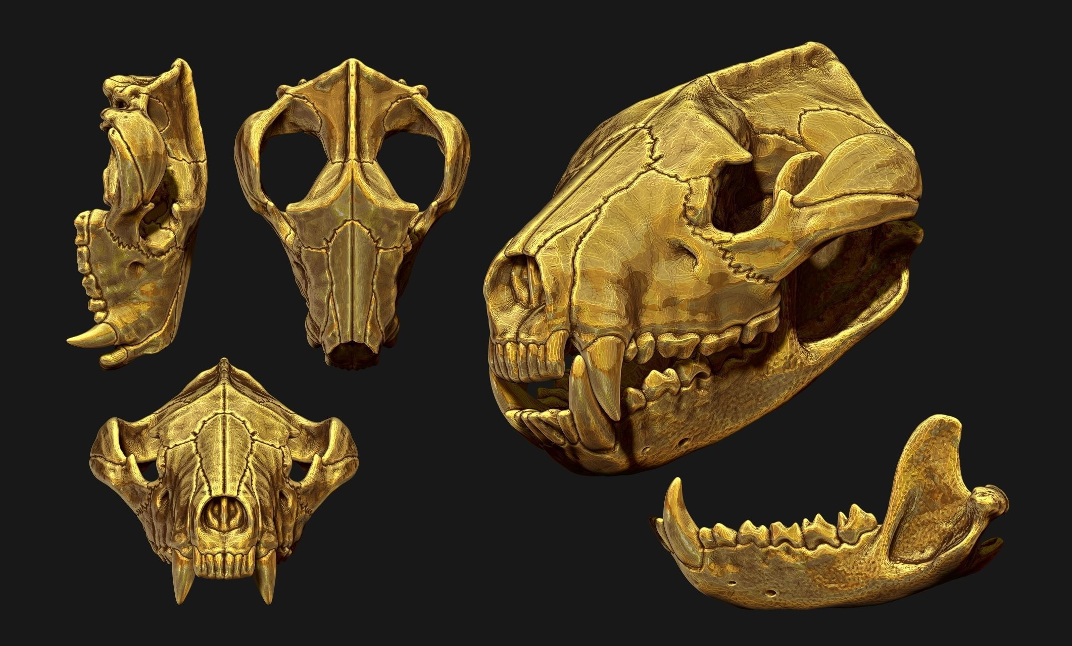 Tasmanian Devil - Skull - Jawbone 3D print model_17