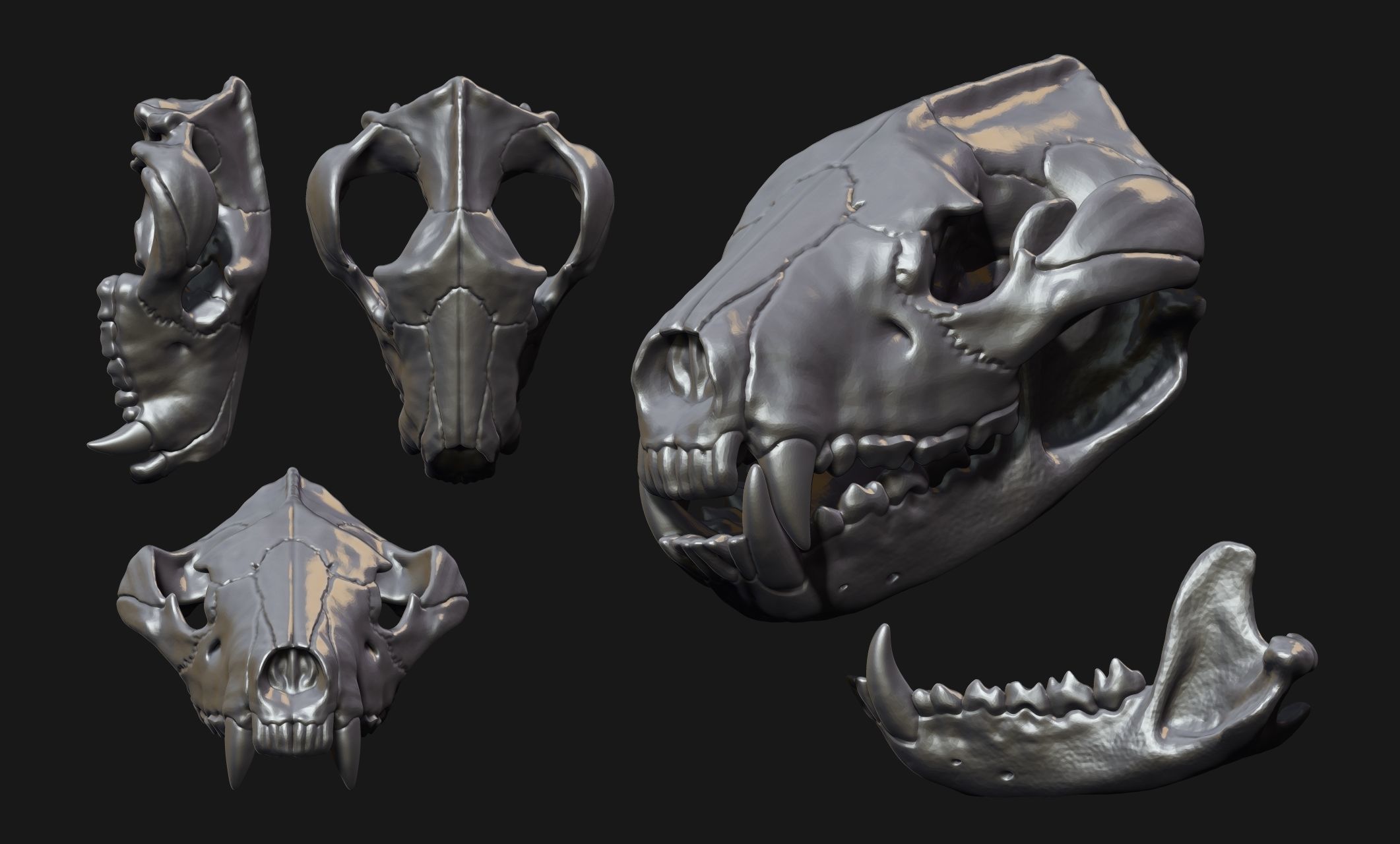 Tasmanian Devil - Skull - Jawbone 3D print model_8