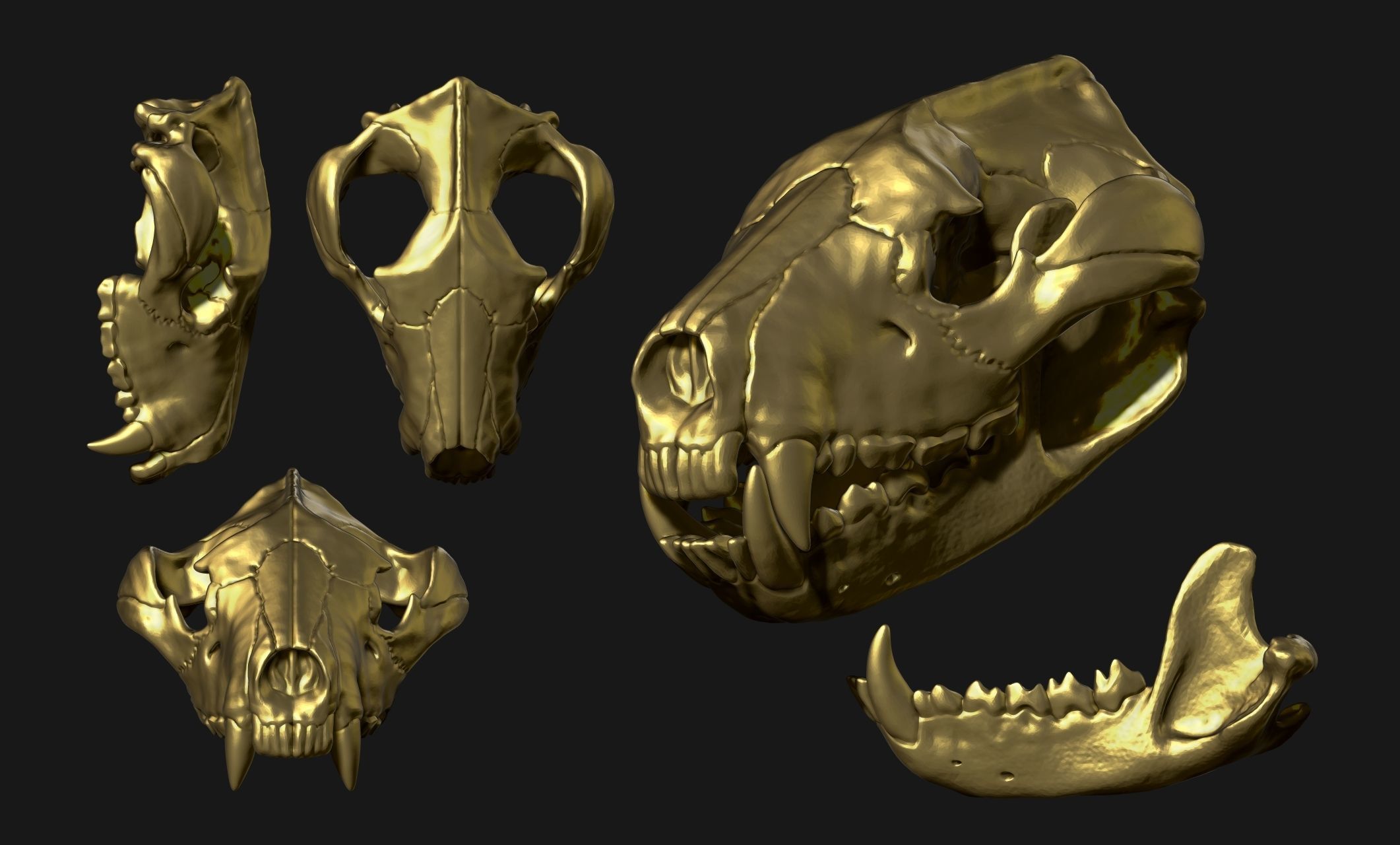 Tasmanian Devil - Skull - Jawbone 3D print model_4