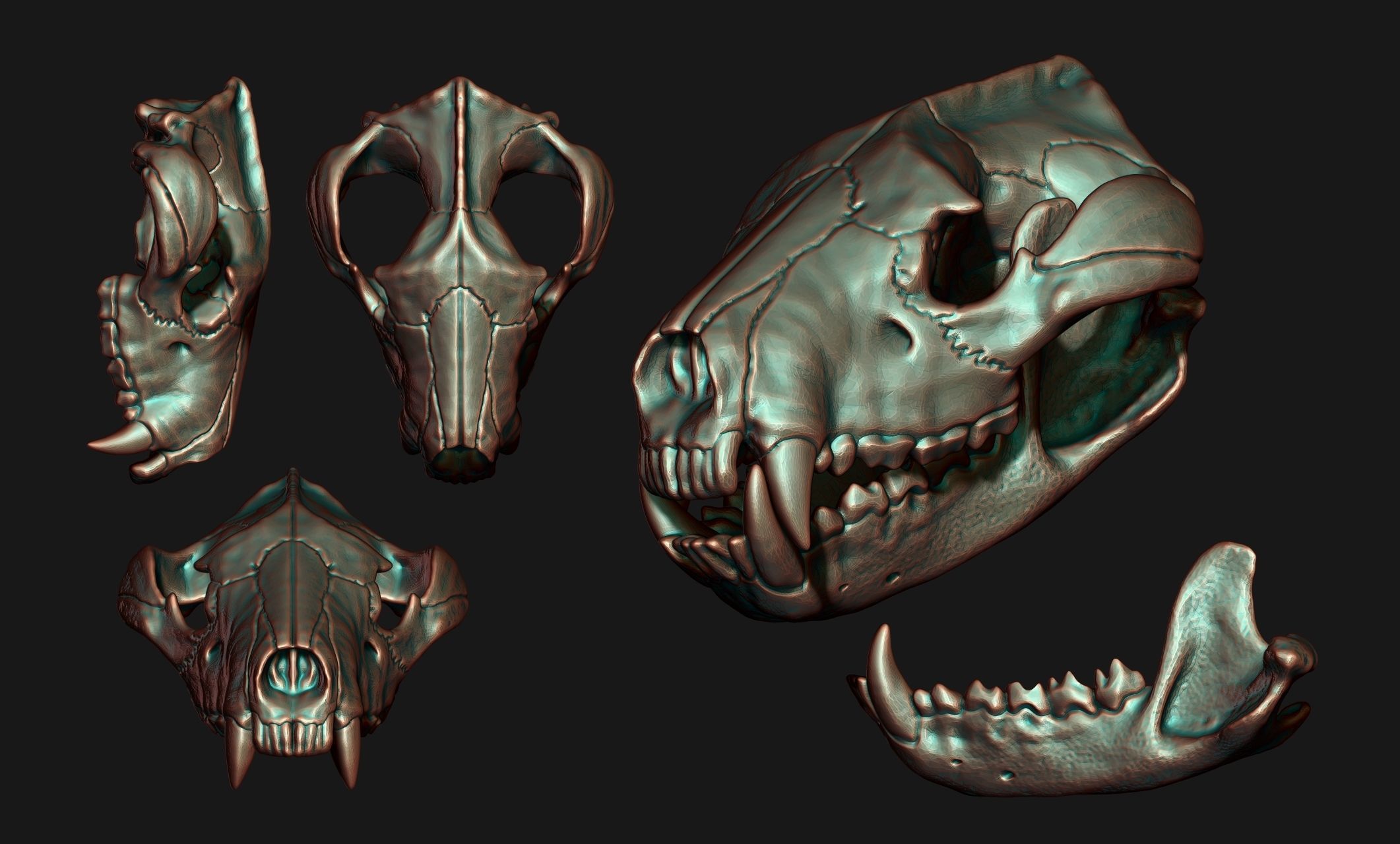 Tasmanian Devil - Skull - Jawbone 3D print model_15
