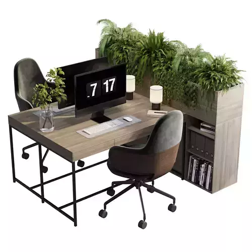 Manager Desk - Office Furniture - Plants Box Divider 16