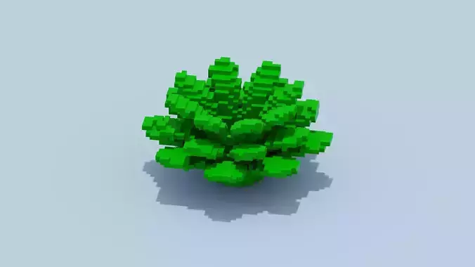 Voxel Lettuce