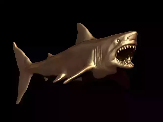 Shark 3D model