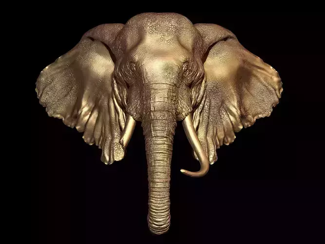 Elephant head 3D model