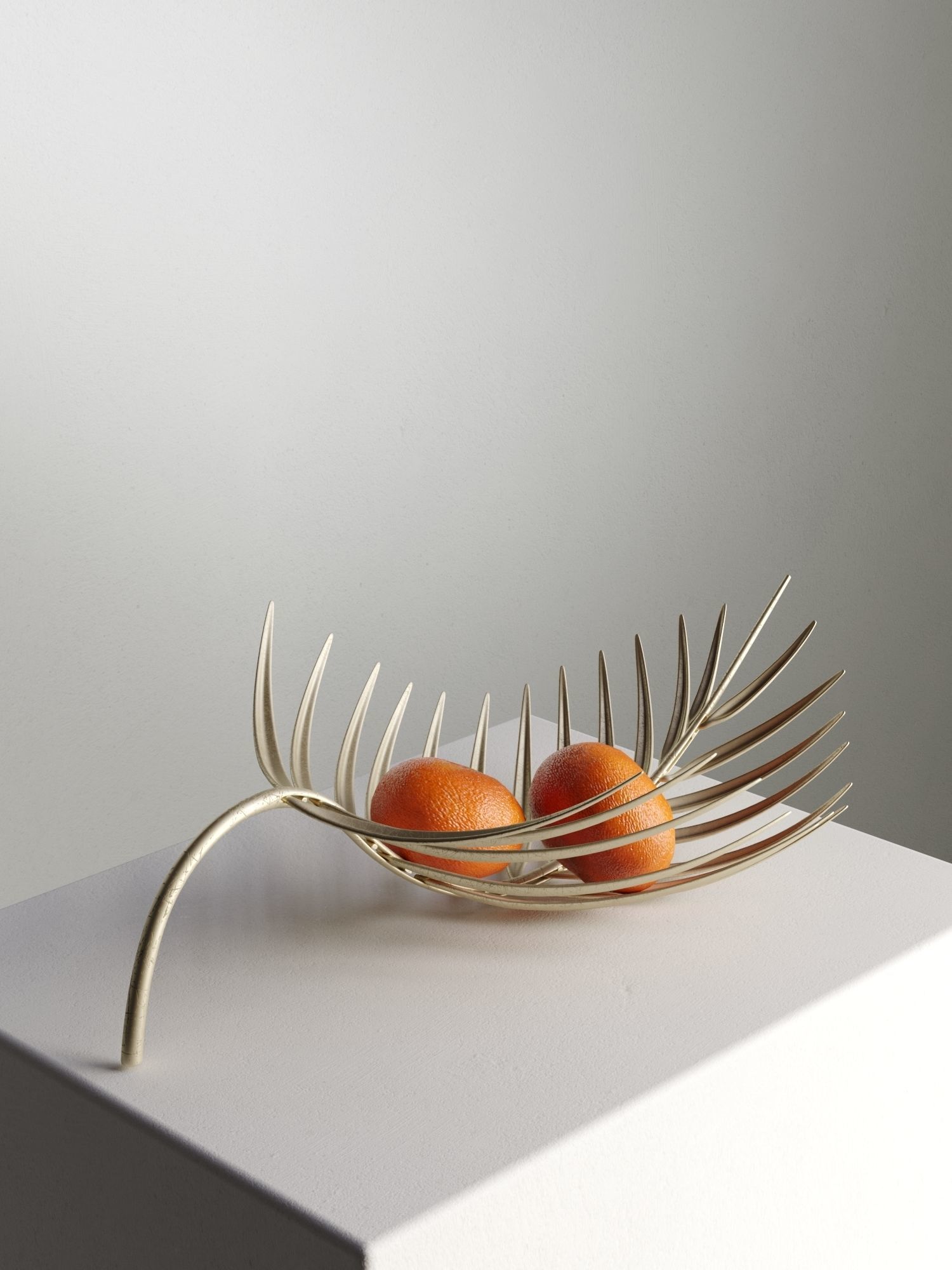 Palm Tray with Mandarins 3D model_1