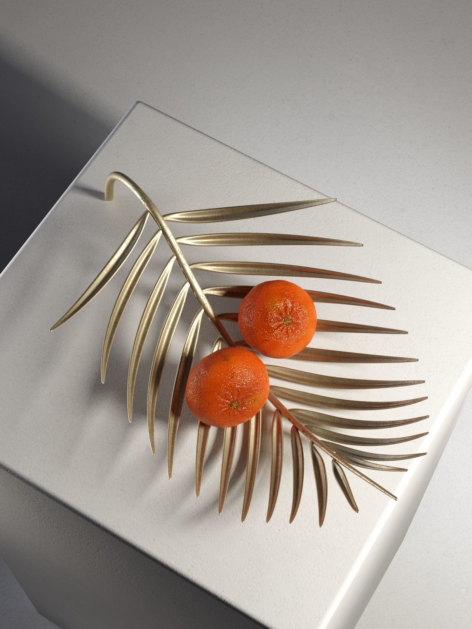 Palm Tray with Mandarins 3D model_2