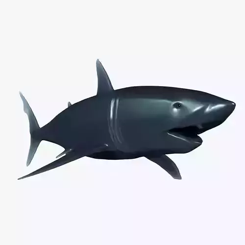 Low poly no texture detailed shark Low-poly 3D model