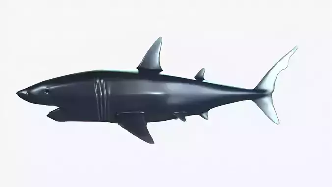Low poly no texture detailed shark  Low-poly 3D model