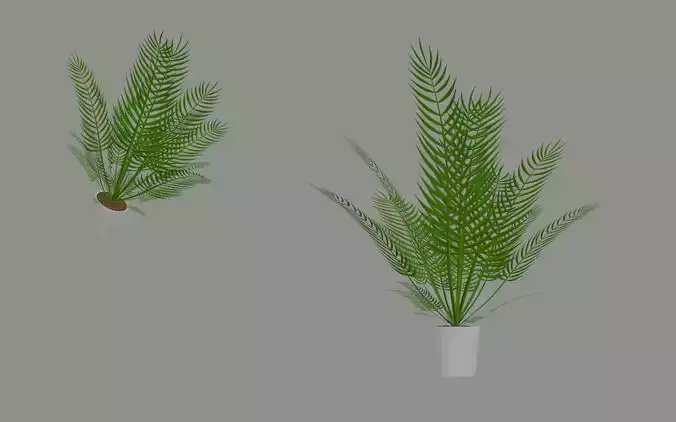 Palm Plant Low-poly 3D model