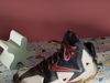 nike independence day shoes