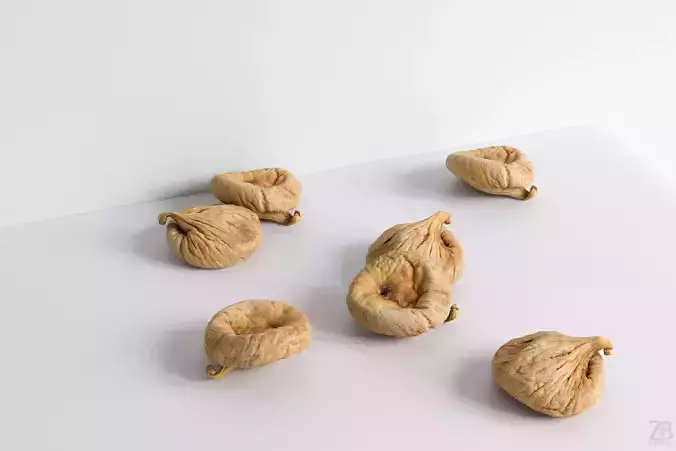 Fig   3D model