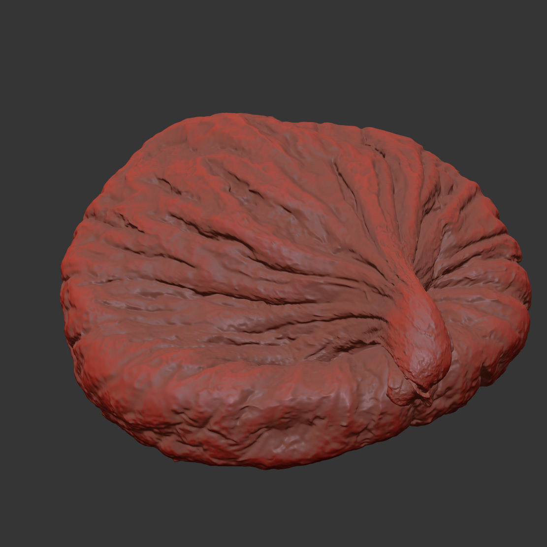 Fig 3D model_7