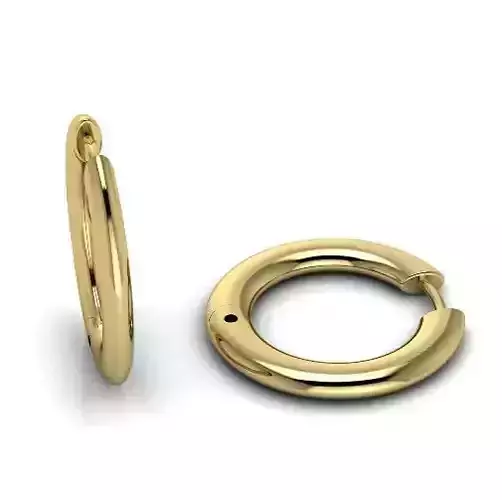 Round earrings Model 3374