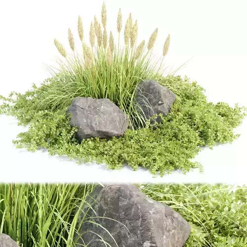 Outdoor plants for landscape vol 205 3D model
