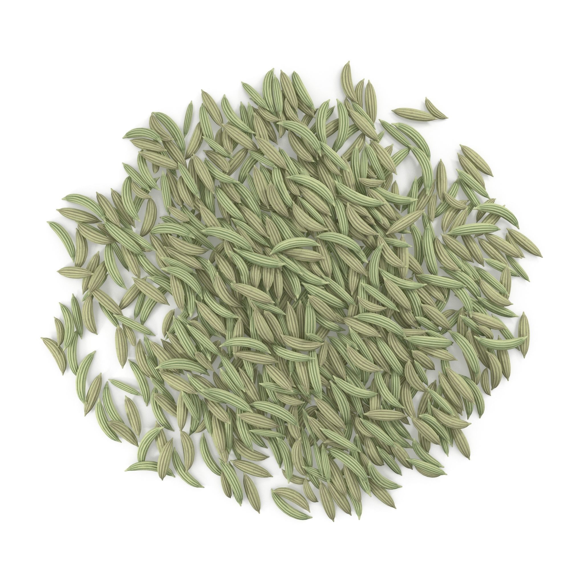 Fennel Seeds V1 3D model_1