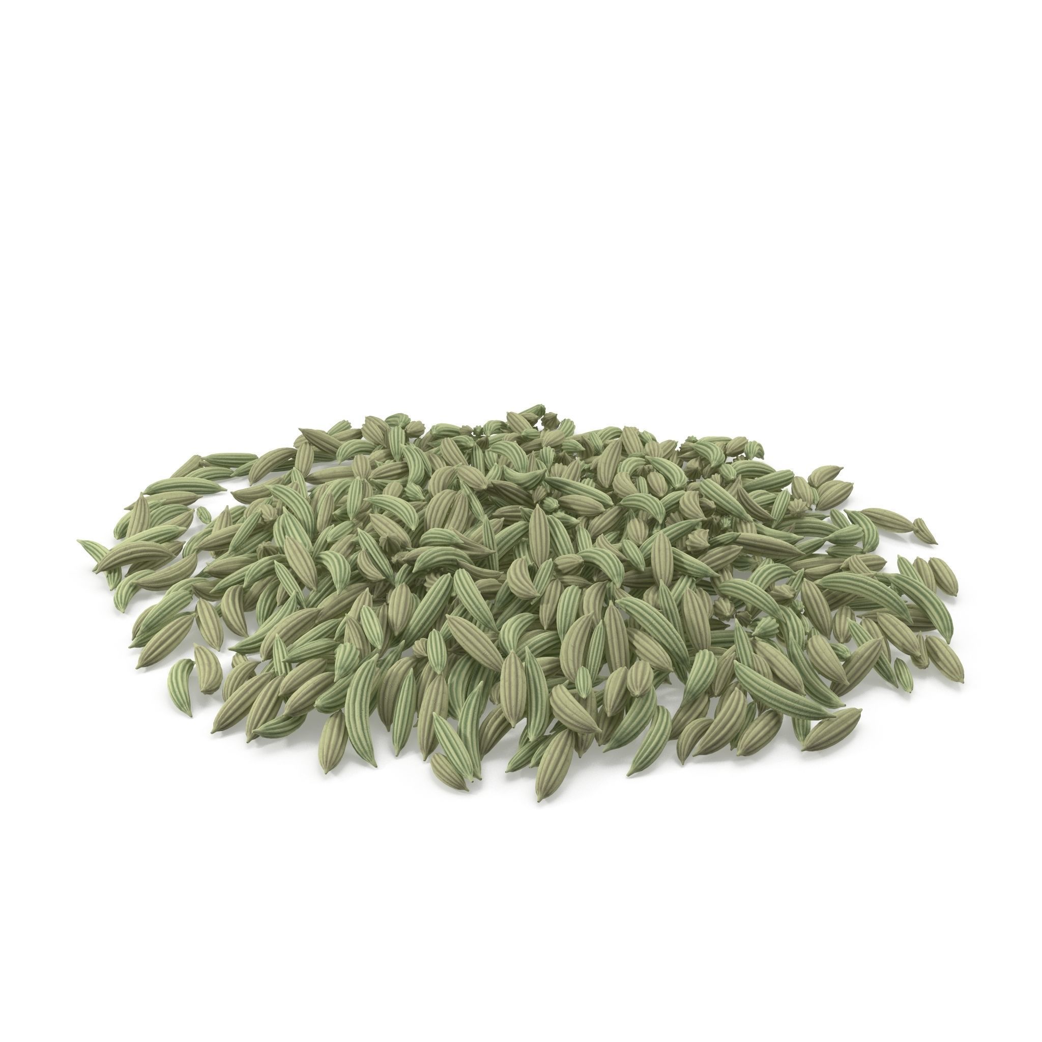 Fennel Seeds V1 3D model_2