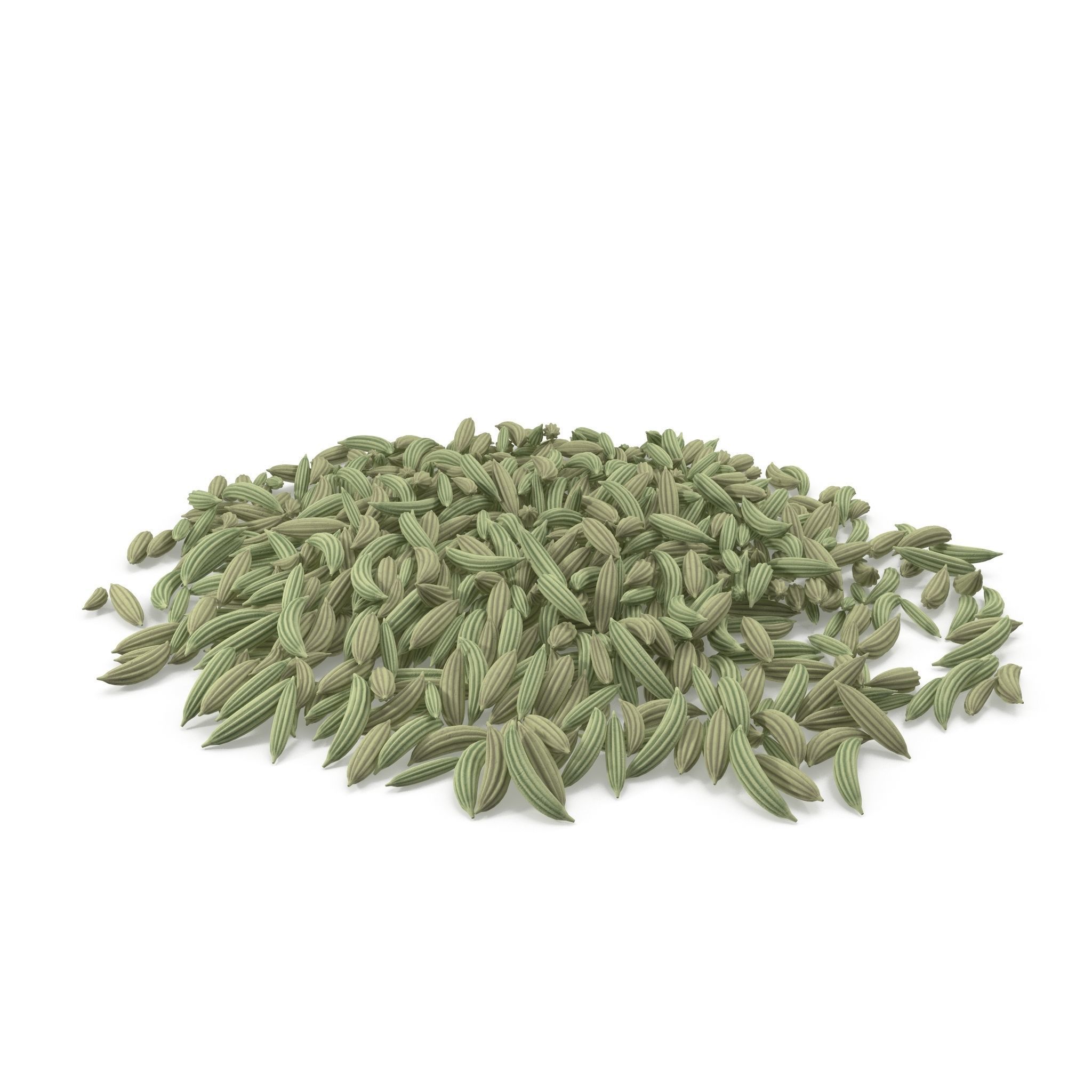 Fennel Seeds V1 3D model_3