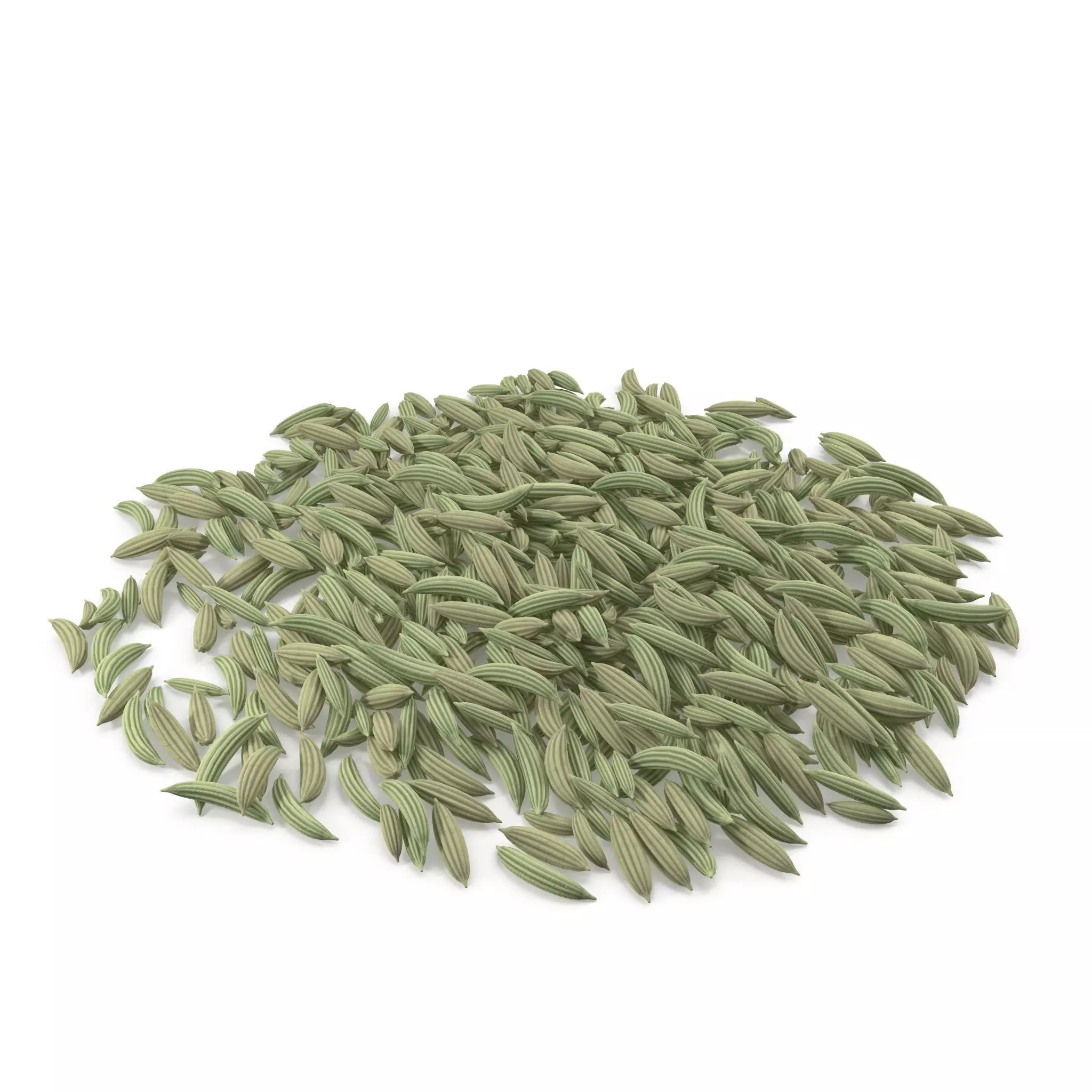 Fennel Seeds V1 3D model_0