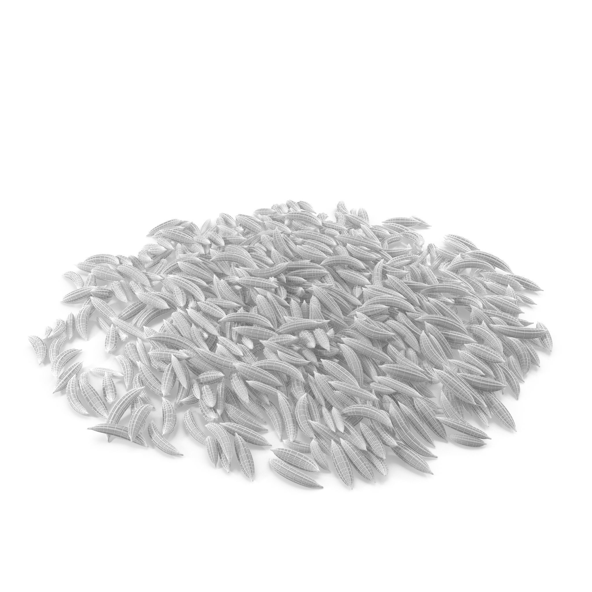 Fennel Seeds V1 3D model_7