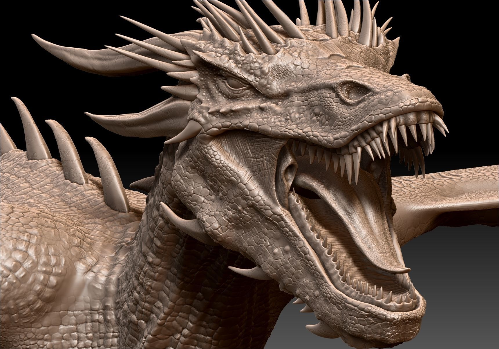 Dinosaur Wyvern Type Dragon Sculpt Project 3D model_21