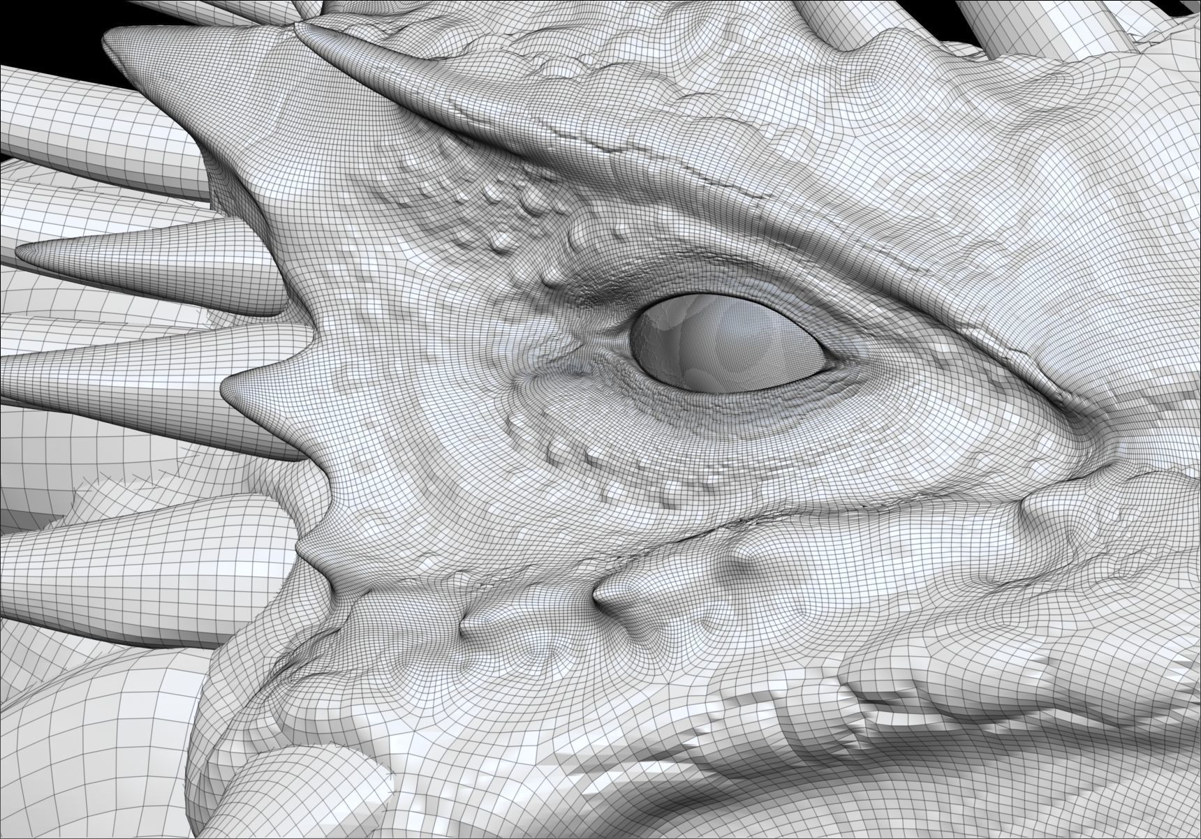 Dinosaur Wyvern Type Dragon Sculpt Project 3D model_24