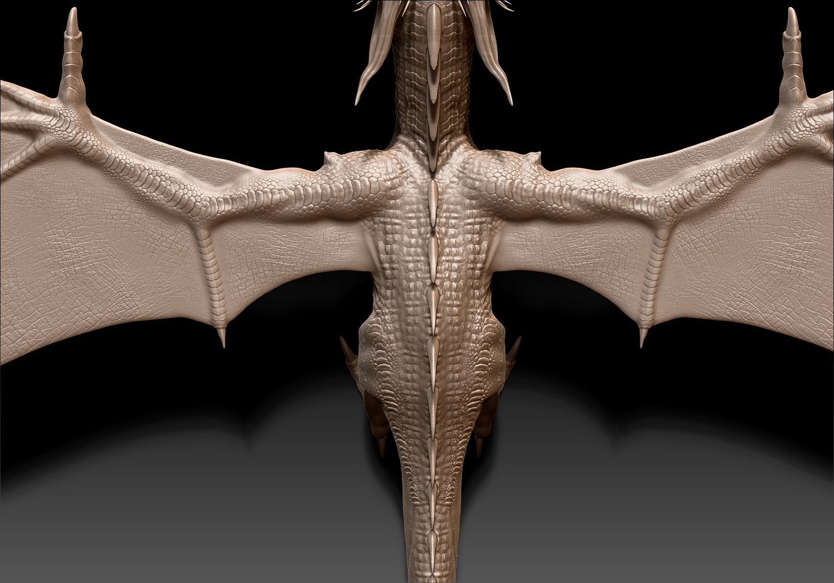 Dinosaur Wyvern Type Dragon Sculpt Project 3D model_20