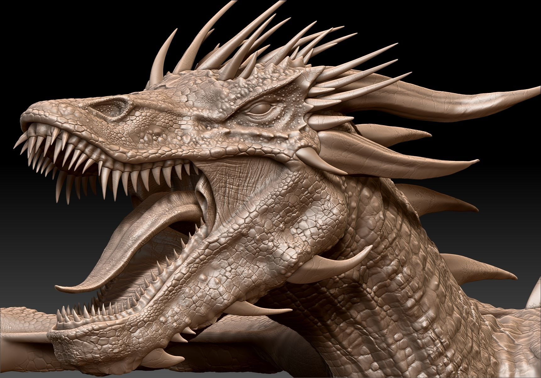 Dinosaur Wyvern Type Dragon Sculpt Project 3D model_18