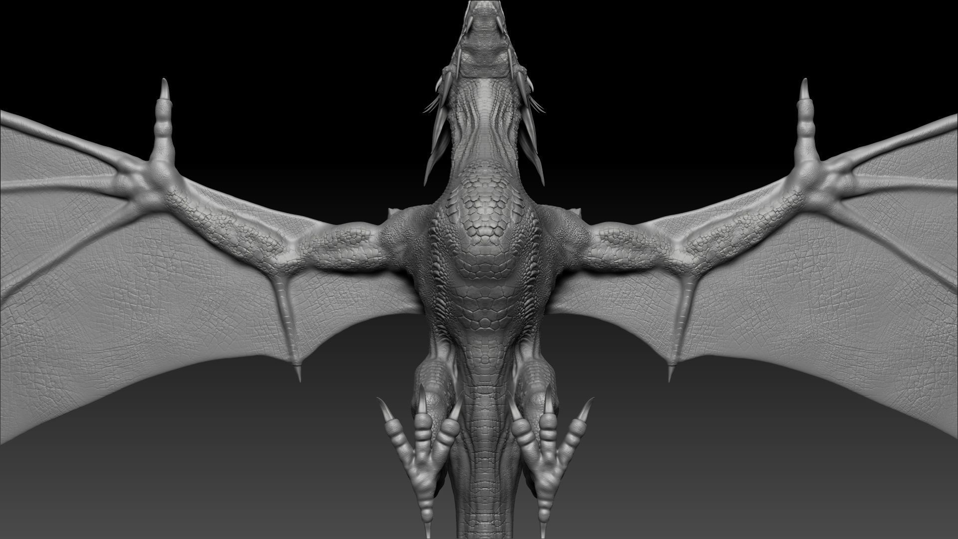 Dinosaur Wyvern Type Dragon Sculpt Project 3D model_7