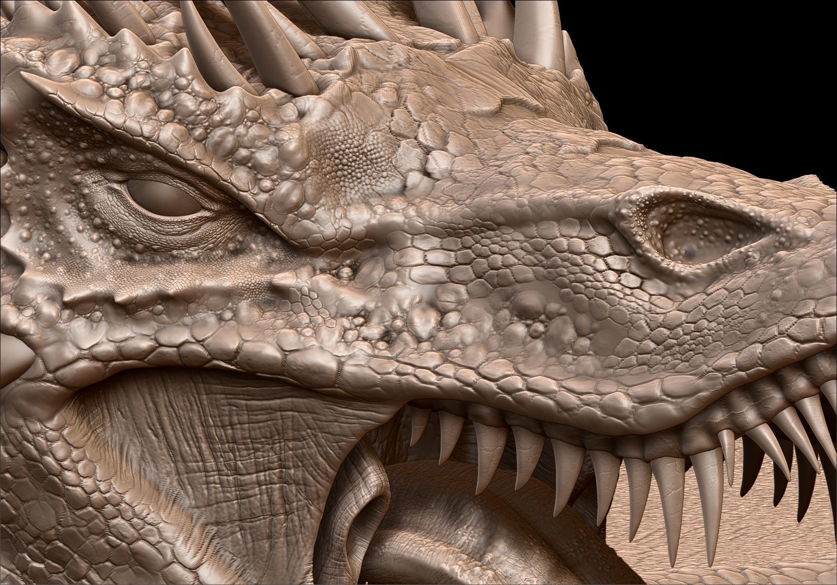 Dinosaur Wyvern Type Dragon Sculpt Project 3D model_22