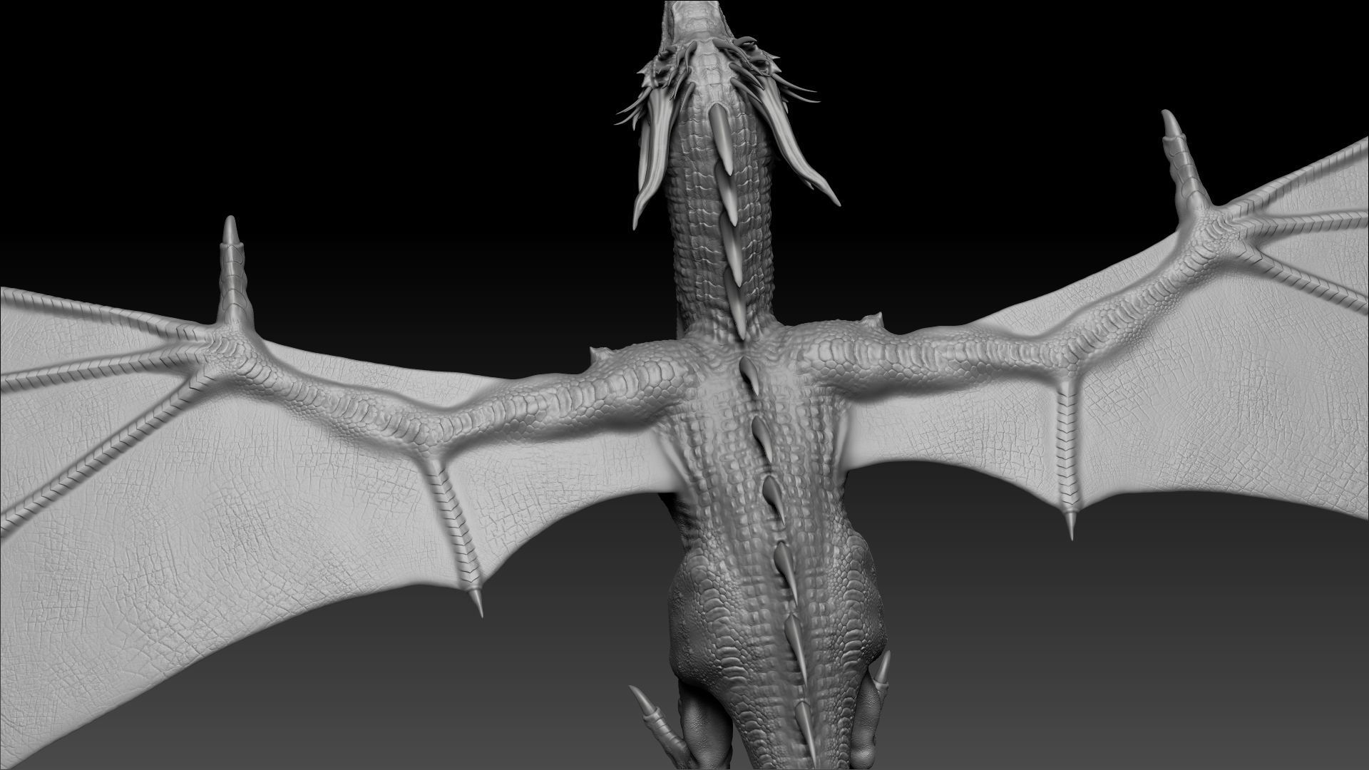 Dinosaur Wyvern Type Dragon Sculpt Project 3D model_9