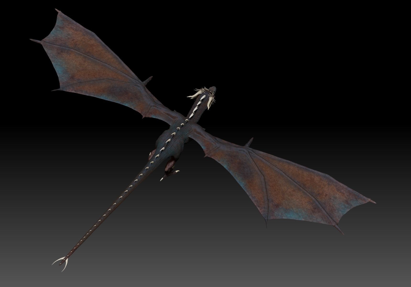 Dinosaur Wyvern Type Dragon Sculpt Project 3D model_13