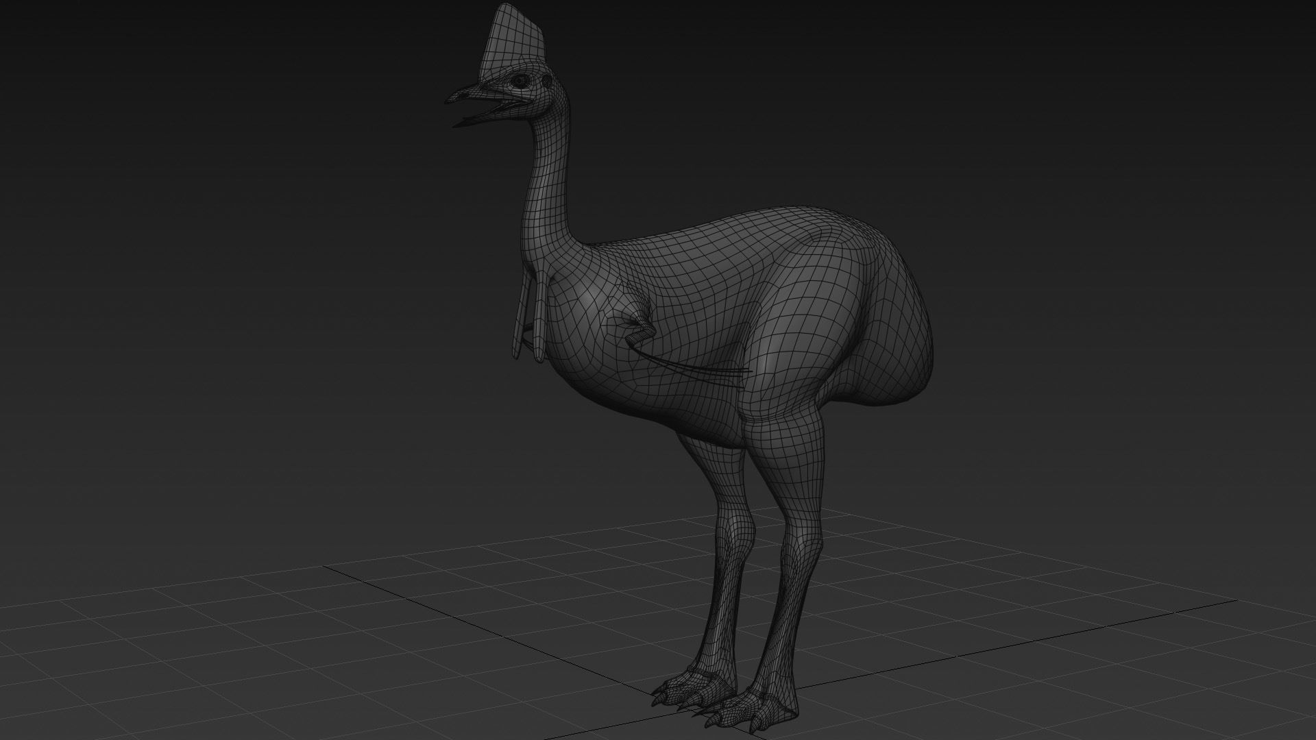 Most Real Cassowary 8K - 3d animated model 3D model_27