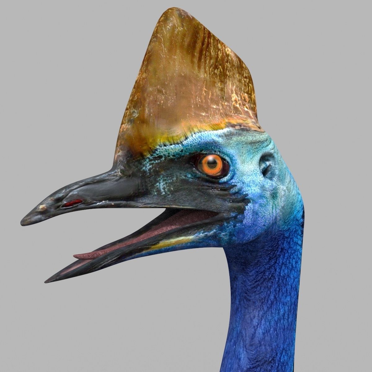 Most Real Cassowary 8K - 3d animated model 3D model_6
